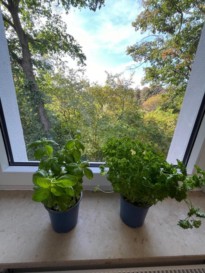 Moderne Wohlfuehl-Wohnung In Troisdorf Altenrath Eksteriør billede